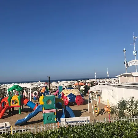 Отель Naica 3*