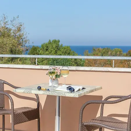 Otel Naica