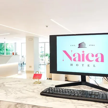 Hotel Naica
