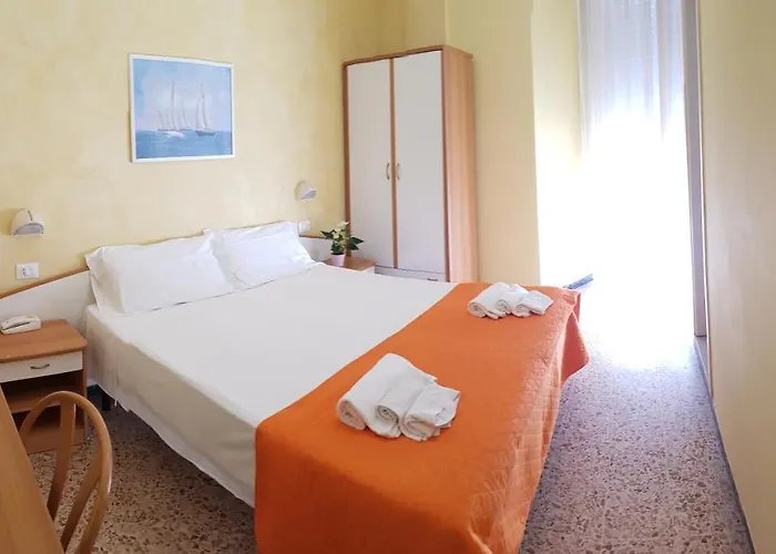 Otel Naica 3*