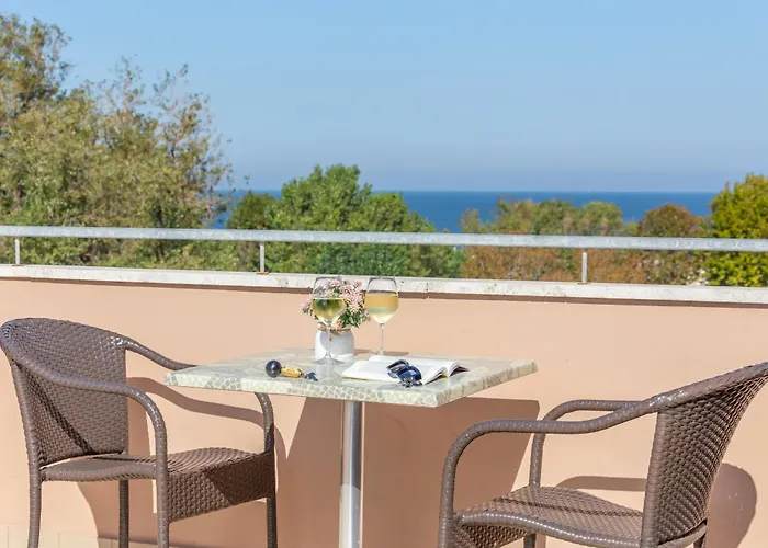 Otel Naica