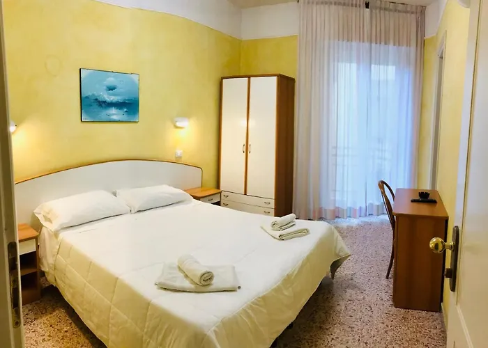 Otel Naica 3*